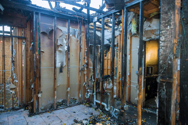 Professional Fire Damage Removal technician working in Artesia, CA